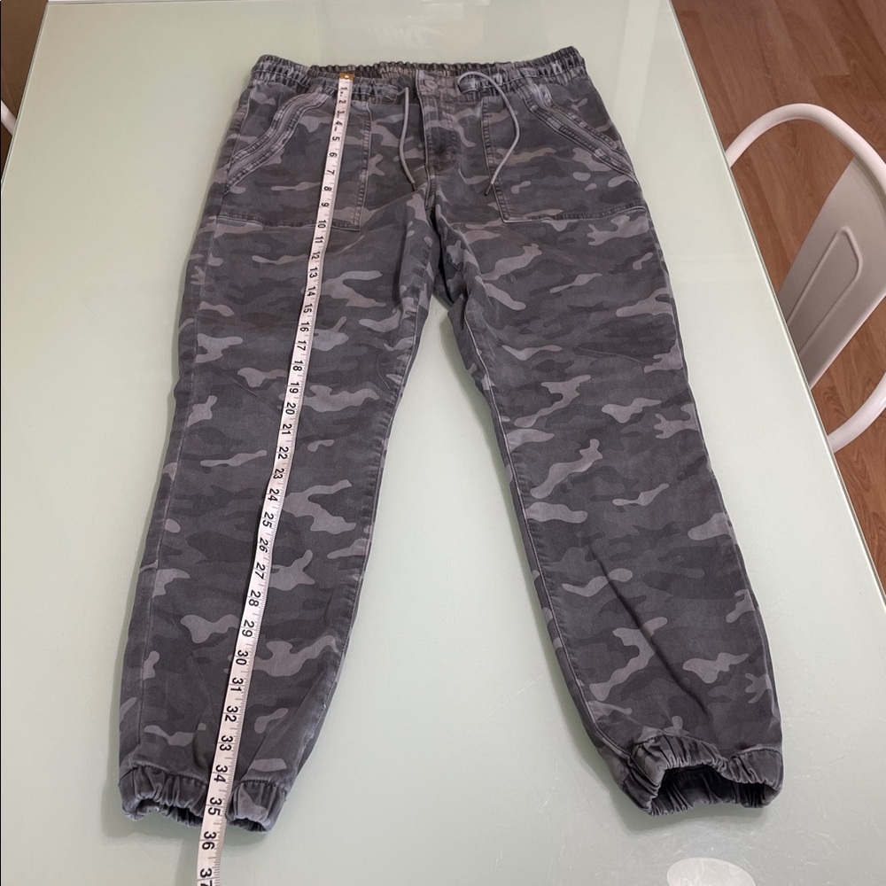 American Eagle Gray Jogger Pants - Picture 2 of 15